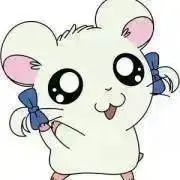 sの画像