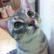 なべ