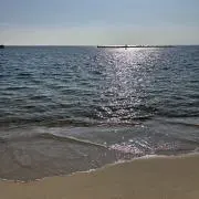 ひな