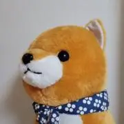 らぎの画像