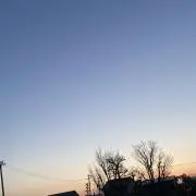 らん