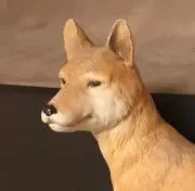 さば3丁目の画像