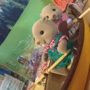 きょうこ