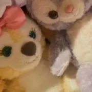 ゆーゆーちゃんの画像