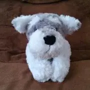 kiki♪