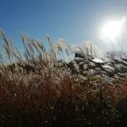 なっちの画像