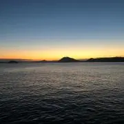 ぽてとの画像