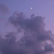 うまうまの画像