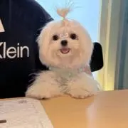 kanei