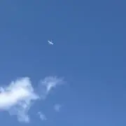 寅次郎の画像