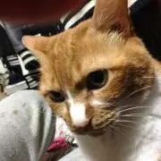 たまに値下げあり〼