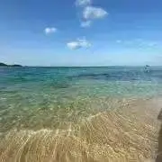りんの画像