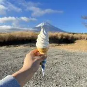 人生迷走中