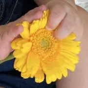 ❤︎の画像