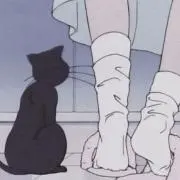 一の画像