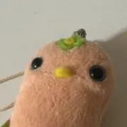 あーちゃんんの画像