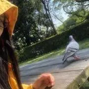 たま