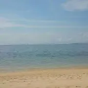 ターリントン
