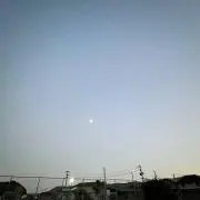 sanaの画像