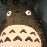 まひまひの画像