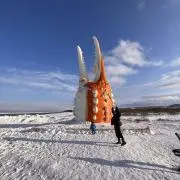n-alps-heidiの画像