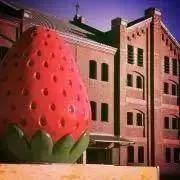 いちご☆断捨離中の画像