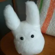 いづみんの画像
