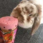 なこなゆ♡の画像