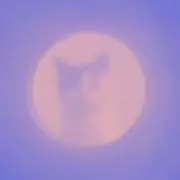 コピト
