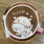ぽむの画像