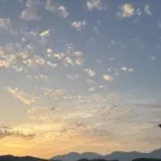 桃♡の画像