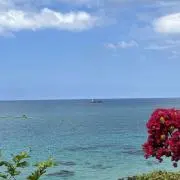 0531の画像