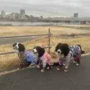 8282