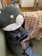 うまにゃんの画像