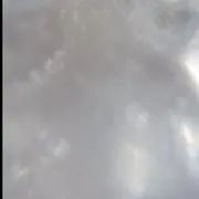 りっぴの画像