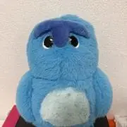 スカイの画像