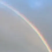 SUIの画像