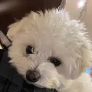 フラン★ふらんの画像
