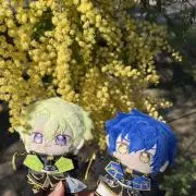 あまねの画像