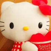 さやきていの画像