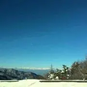 meicoの画像