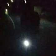 トトロ