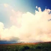 ツカカの画像
