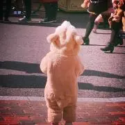 りさこの画像