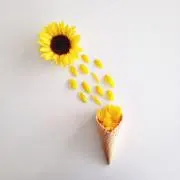 mmmの画像