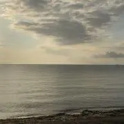 青蘭の画像