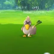 (⌒▽⌒)