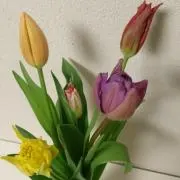 おちゃっぴー