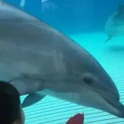 そらん