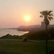 ノックの画像